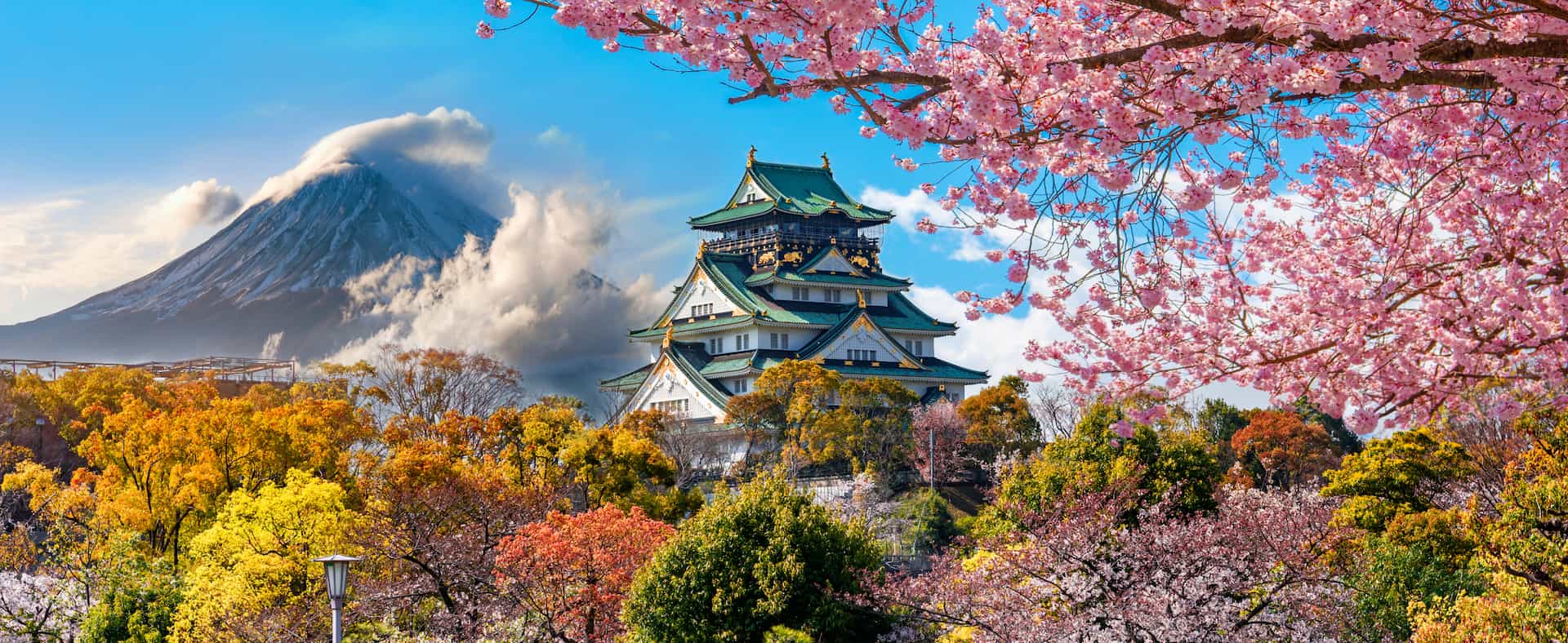 Short-Stay Accommodation in Japan: Hotels, Vacation Rentals, and Home-Sharing Options